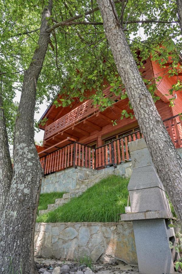 Hakuna Matata House *